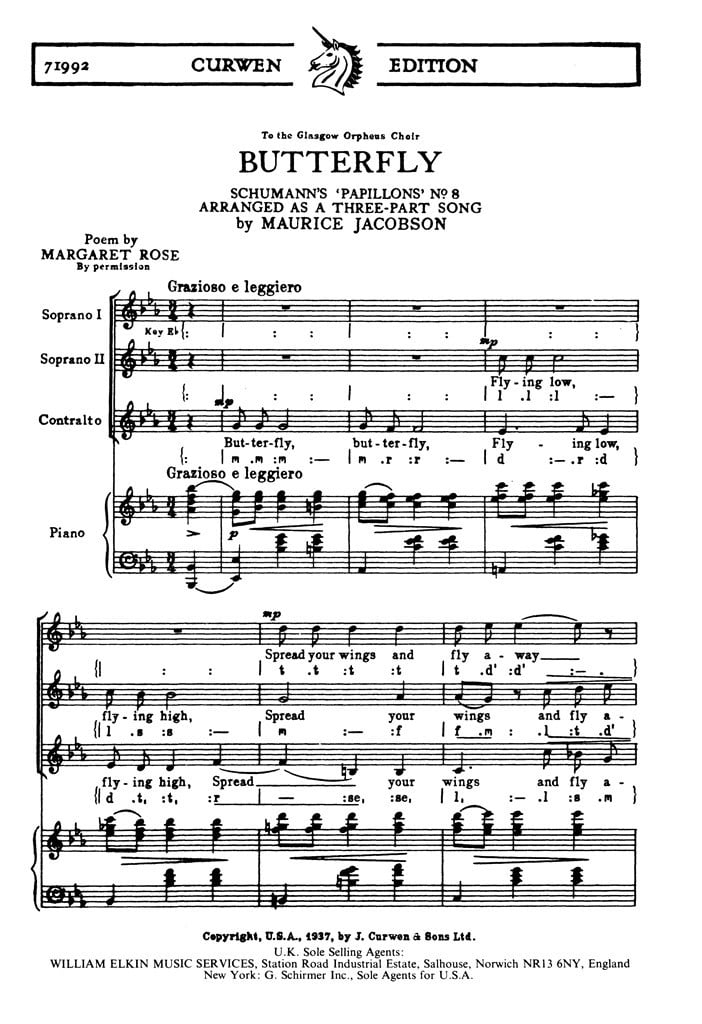 Butterfly
